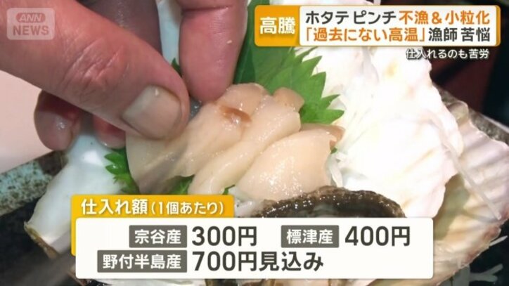 ホタテの仕入れ値（1個あたり）