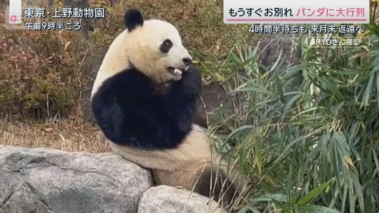 “中国客激減”データで如実に…依存度トップの県では景色が様変わり