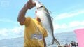 東京湾に40cm超の「ギガアジ」 釣り人“苦戦”観光資源にも なぜ大きい?【詳細版】