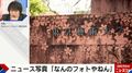 ケルヒャーの「洗浄アート」？東京藝大の門に“桜”が出現「センスが最高」とSNSで話題