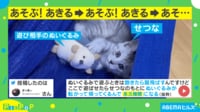 21万回超再生されたかわいい永久機関
