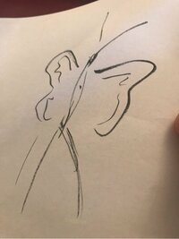 市川海老蔵『ちょうちょかいてーと』