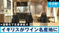 温暖化で生産急増 "イギリスワイン" 