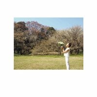 白石みき『ご報告』