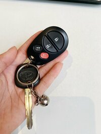 福山智可子『today is the day』