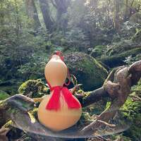 ANZEN漫才 あらぽん『『ご報告』』