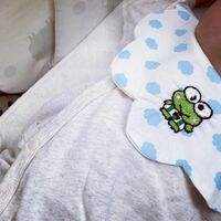 横澤夏子、愛娘への“けろっぴグッズ”のプレゼントに喜び「あーかわいーけろっぴー」