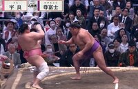 【映像】すぐさま宇良を救助する尊富士