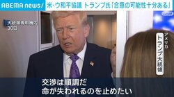 米・ウ和平協議 トランプ大統領「交渉は順調だ」「合意の可能性は十分にある」