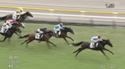 「何あの末脚！？」注目新馬が“11頭ごぼう抜き”豪脚デビューV…ファン衝撃「絶望的な位置から…」「とんでもない追い込み」