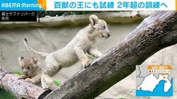 夏に生まれた動物の赤ちゃん、すくすく成長 一人前になったら“卒業”へ