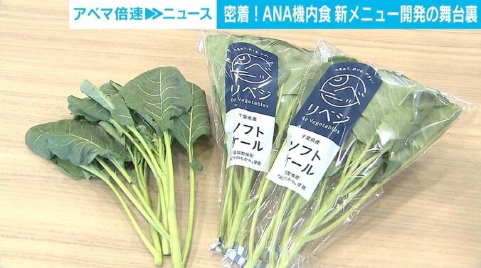 軽食に「カツ丼」？ ANAが代替肉を使用した機内食の新メニュー 「食感も本当のお肉に近い」 3枚目