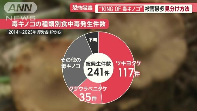 毒キノコの種類別食中毒発生件数