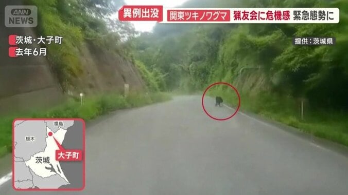 去年、大子町でクマの姿を確認