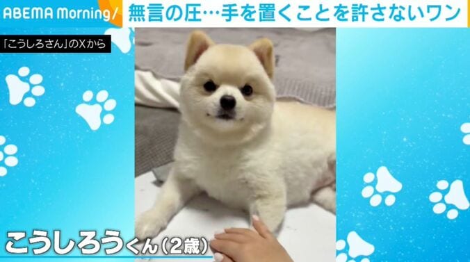 2歳のこうしろうくん