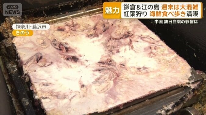 丸焼きたこせんべい
