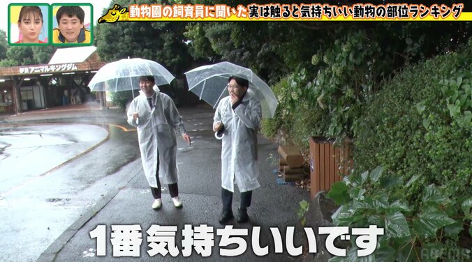 オズワルド伊藤、40分遅刻で雨の動物園ロケ「仕事した感じがしない」と不完全燃焼 9枚目