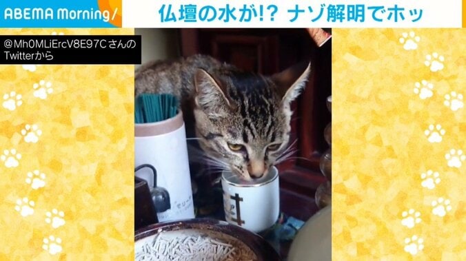 「毎日仏壇の水が空っぽに…」恐怖から一転、安堵へ 謎解明の理由に「怒れないw」「頂いちゃってますね」爆笑の声 1枚目