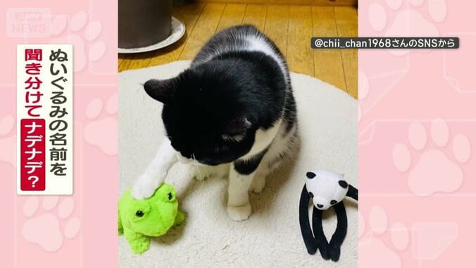 名前を聞き分けてる？