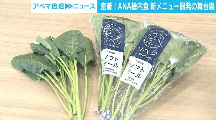 軽食に「カツ丼」？ ANAが代替肉を使用した機内食の新メニュー 「食感も本当のお肉に近い」
