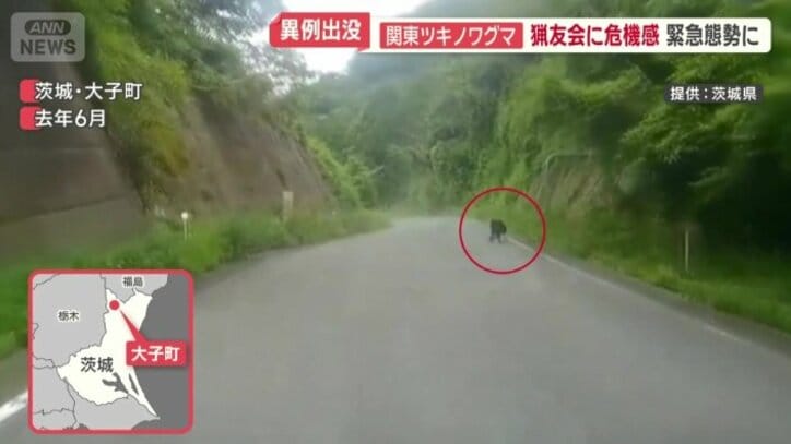去年、大子町でクマの姿を確認
