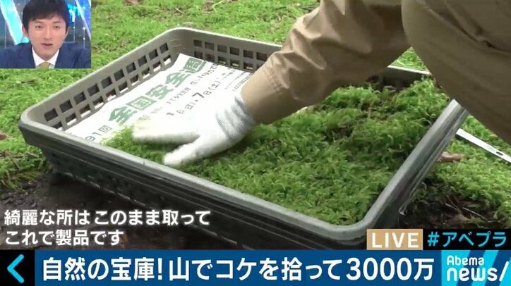 カブトムシやコケを売って年間3000万円の売上も…日本の山が持つ意外なポテンシャル