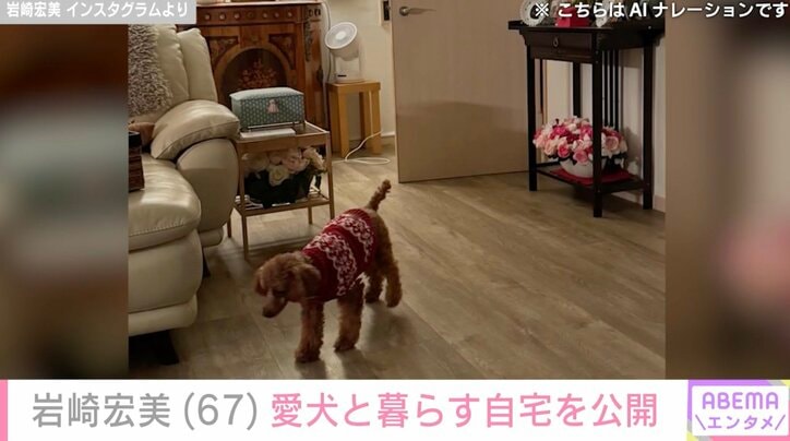 【写真・画像】孫の顔出しが話題 岩崎宏美（67）、愛犬と暮らす自宅での様子にファン「すてきな写真」　2枚目