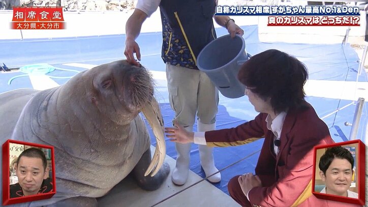 【写真・画像】ぱーてぃーちゃん・すがちゃん最高No.1、相席食堂にプリケツ姿で登場！ 千鳥「思ってる以上の…」と大爆笑　3枚目