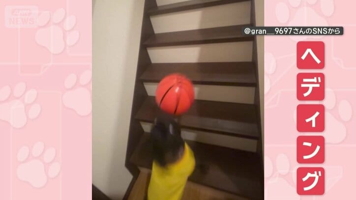 何度もヘディング！