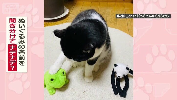 名前を聞き分けてる？