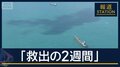 【報ステ解説】日本関係42隻「先行き不透明」ホルムズ海峡どうなる？今後のカギは