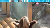 【映像】シャッターチャンスを巡る攻防