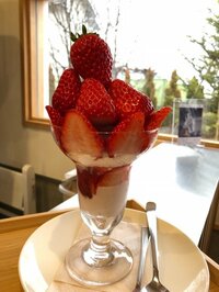 川田裕美『もしもツアーズ☆富士五湖』