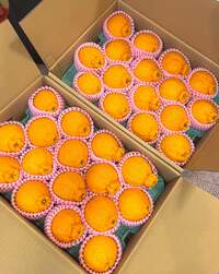 藤あや子『嬉しいお届けもの』