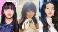工藤静香 家族で愛犬との別れを悼む