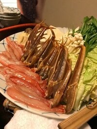 吉澤ひとみ『バレンタインは…』