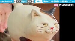 手を差し出すと… 猫のお尻から“液体が噴射”！ユニークな発想に「ニオイ嗅いでしまいそう」「大量スプレー」と反響続々