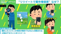 何気ないリツイートが著作権侵害に？最高裁がアカウント開示命令…求められる利用者の理解と運営側の対策