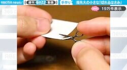 「欲しい！」ミニチュアサイズで作られたハサミに「すごい！切れてる！」「あまりにかわいい…」と絶賛の声