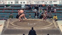 「その細さでよく幕下まで上がった」大相撲には脂肪が必要？ 74キロ“一般人の体型”新幕下力士が負け越した現在地