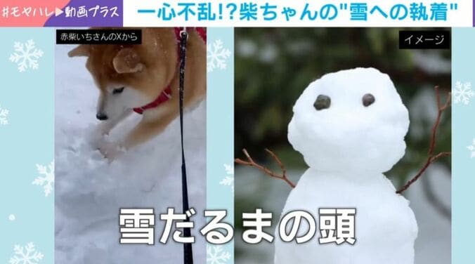 雪玉を壊す様子