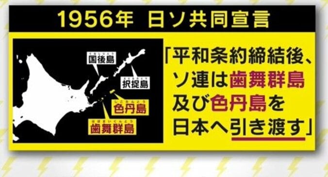 2島も4島も返ってくる可能性はほとんどない？北方領土をめぐるプーチン大統領の真意は？ 1枚目