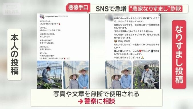 写真などが無断で使用された