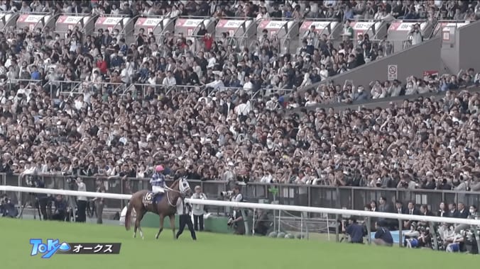 【映像】笑顔、そして涙…偉業達成で“大歓声”のウイニングラン