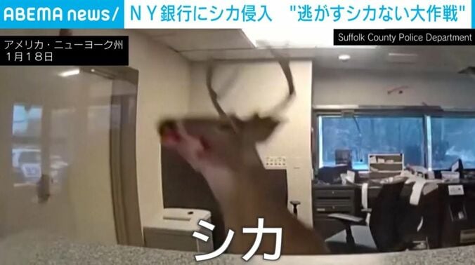 アメリカ・ニューヨーク