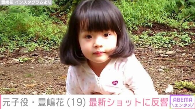 豊嶋花