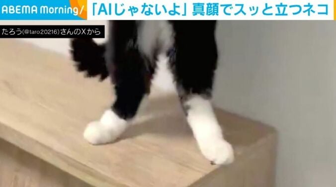 たろうくん