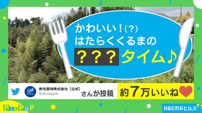 「草食だったんだ…」重機の貴重な“食事風景”に反響相次ぐ 1枚目