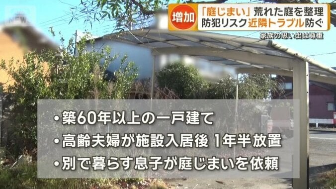 1年半放置された庭