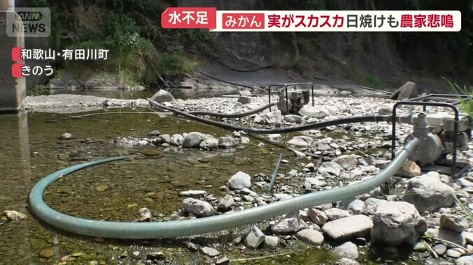 水位が低下しているという有田川